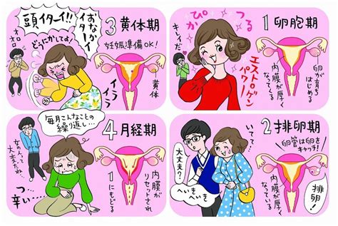 彼女 生理 の 時|男性だからこそ生理を知ろう！彼女が生理のときにして .